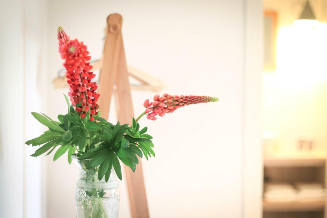 Soeder Countryhouse & Kitchen Båstad Екстериор снимка